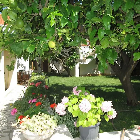 Apartment Ante Lumbarda