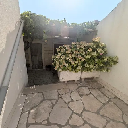 Apartment Ante Lumbarda