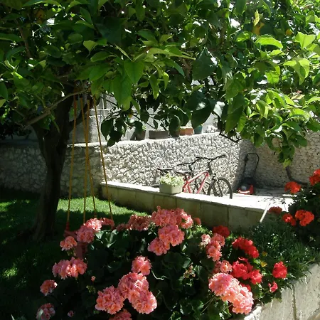 Apartment Ante Lumbarda