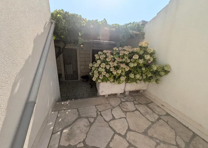 Apartment Ante Lumbarda