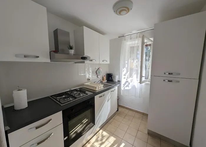 Apartment Ante