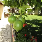 Ante Διαμέρισμα