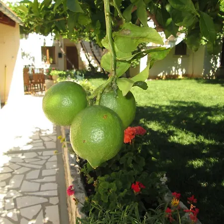 Ante Διαμέρισμα