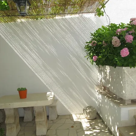 Ante * ルンバルダ