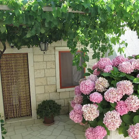 Appartement Ante