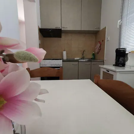 Ante ルンバルダ