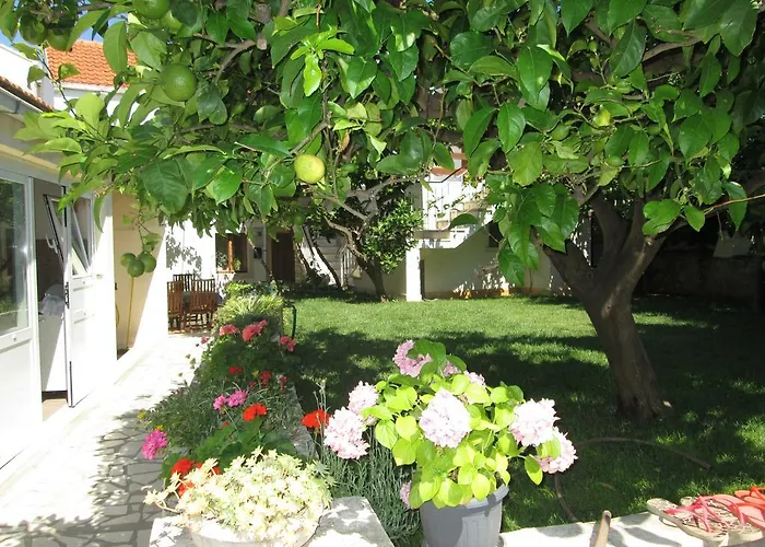 Appartement Ante Lumbarda