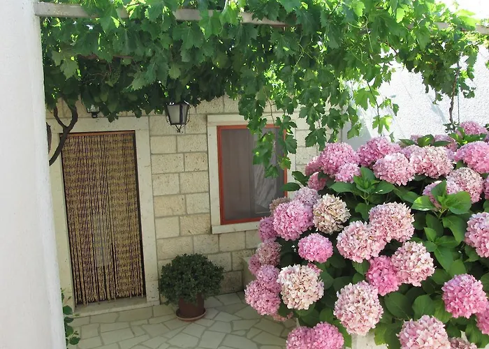 Appartement Ante